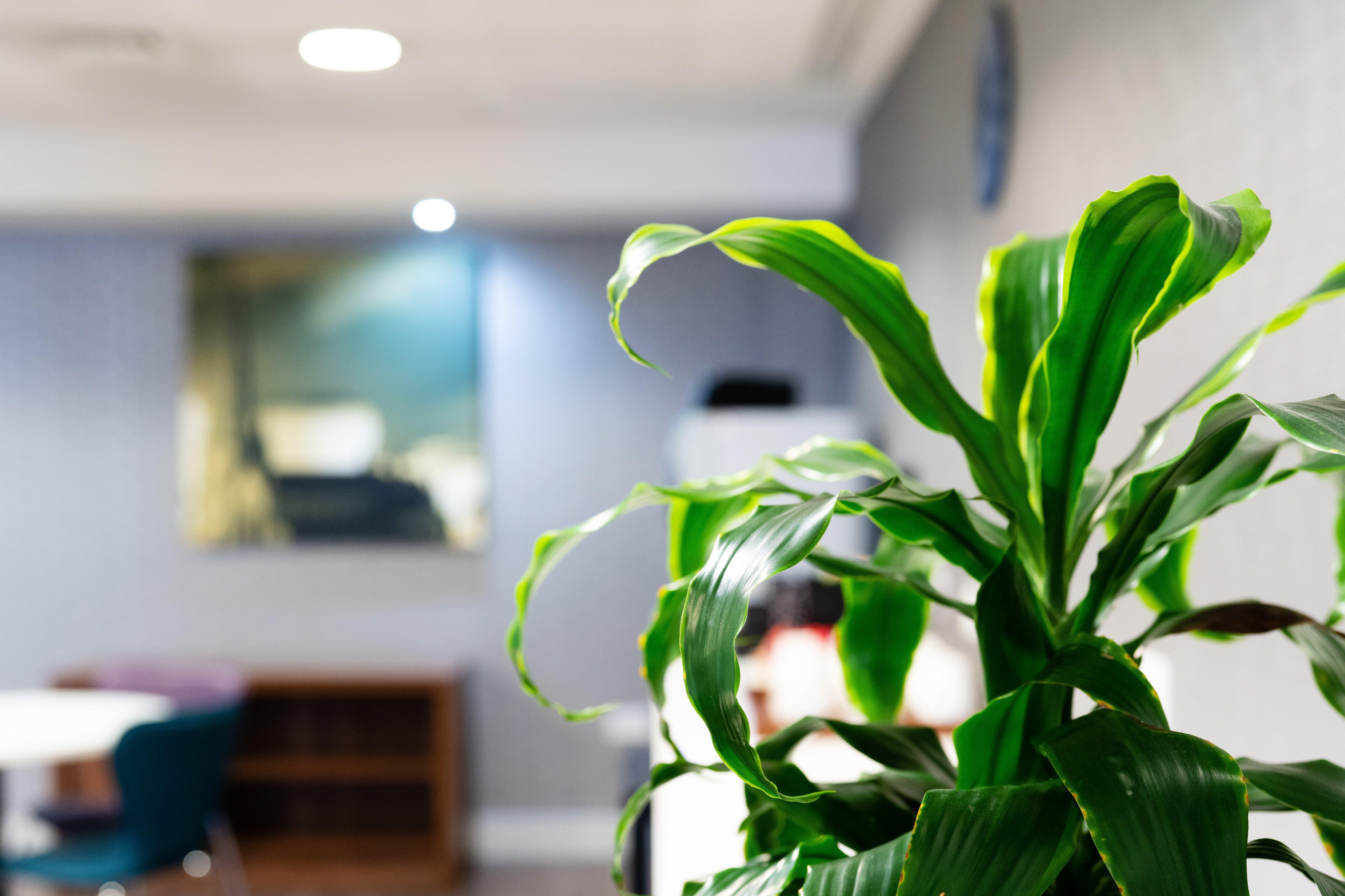 Holiday Inn Express Birmingham - Snow Hill By Ihg Eksteriør bilde